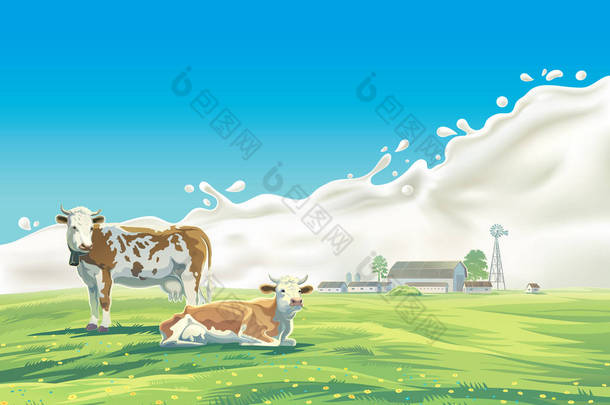 两头奶牛和飞溅<strong>牛奶</strong>.