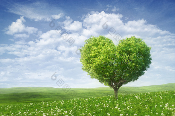 树的心，情人节背景的形状