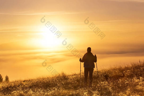 与一个女孩剪影体育泅渡极在晨雾与一个忠实的朋友，一只狗。景观组成，山脉背景与日出.