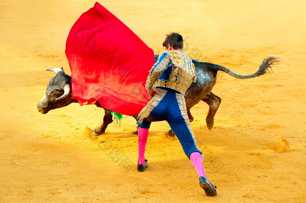 象斗牛。斗牛士的战斗中典型的西班牙斗牛