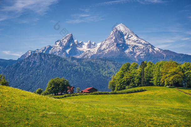 田园高山景观与绿油油的草地，农舍和白雪皑皑的山顶