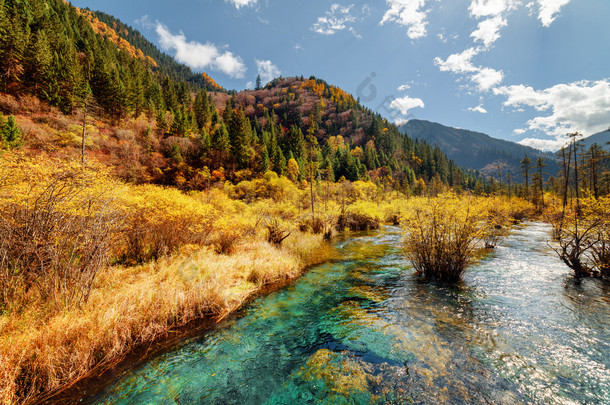 秋天森林和山脉之间有水晶水的风景河流