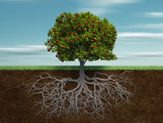 与苹果和根的概念树