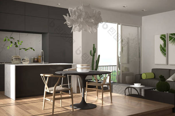 生态<strong>绿色室内设计</strong>，白色和灰色客厅与阳台，厨房与餐桌，多汁盆栽植物，镶木地板，窗户，全景阳台。可持续建筑
