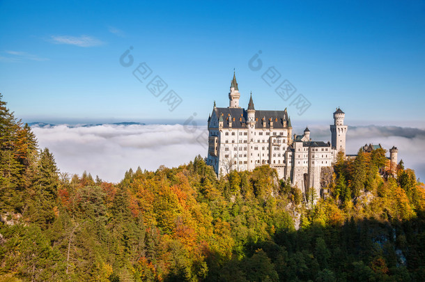 与秋天的树林，在德国巴伐利亚州的著名新天鹅堡。