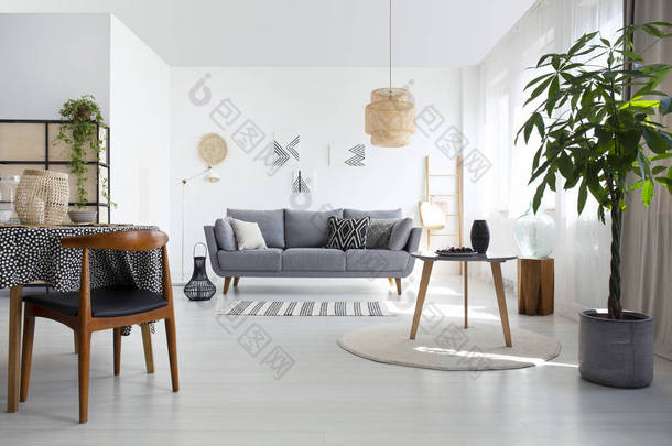 桌子上的地毯旁边的植物和木椅在白色扁平的内部与灰色的沙发和灯。真实照片