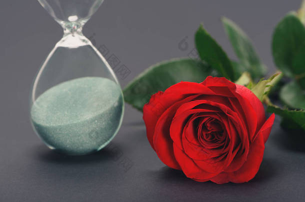 美丽的红玫瑰花和沙漏灰色的特写视图