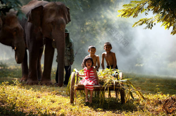 <strong>儿童</strong>在大象野生公园和大象和朋友一起玩