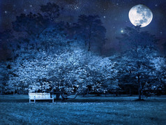 满月的夜晚在公园