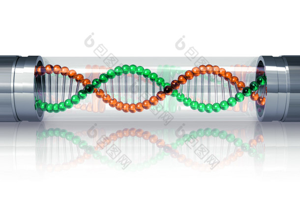 dna 分子在密封容器中