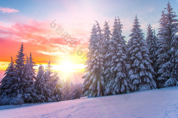 日落大道上冬季景观。保加利亚