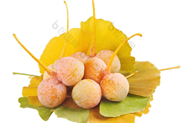 银杏叶水果堆在叶子上白色隔离