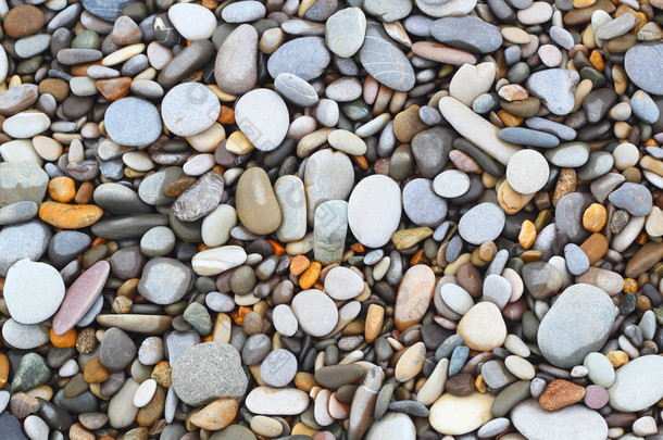 海石头贝壳背景