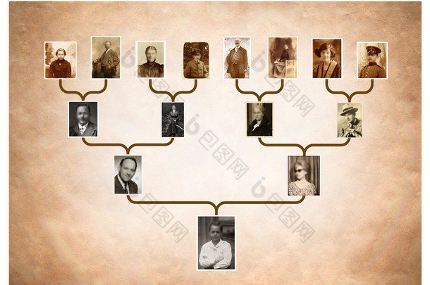 树上的家族史