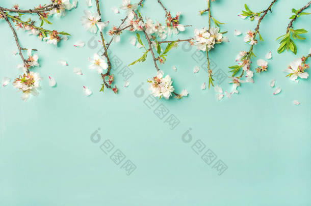 春季花卉背景, 质地和<strong>墙纸</strong>。白色杏仁花在浅蓝色柔和的背景下