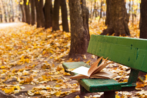 在秋天公园坐在板凳上的<strong>老</strong>书