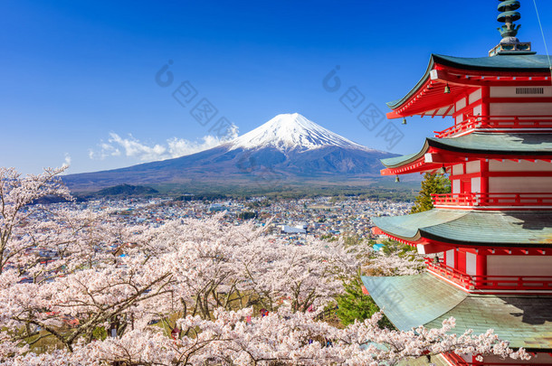 与 Chureito 宝塔，吉田，日本富士山 