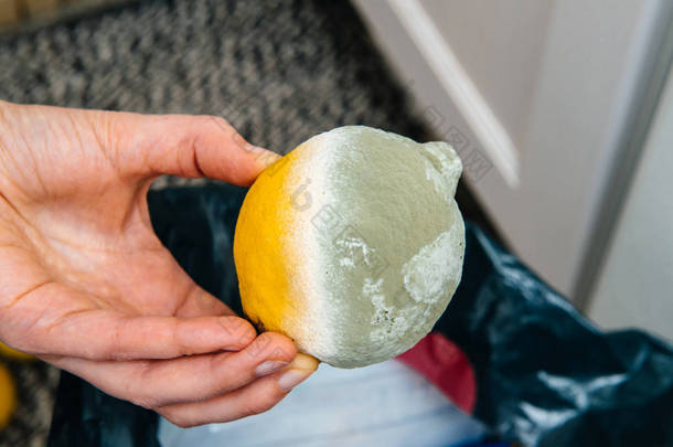 手里拿着一只柠檬, 里面有一半是用模子盖的。