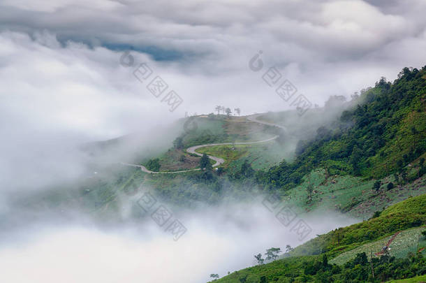 观, 薄雾, 高山, 陡峭和蜿蜒的道路, 以富行动计划推行 Boek 和富欣荣解放军国家公园, 碧差汶, 泰国