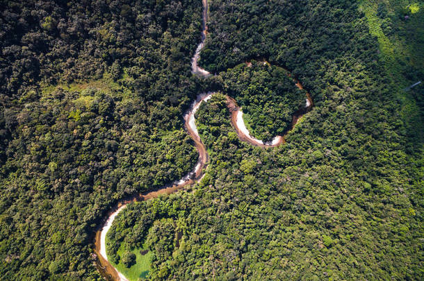 顶视图的雨林，巴西的河流