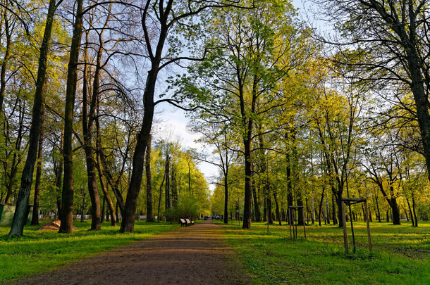 5 月，圣彼得斯堡的城市公园
