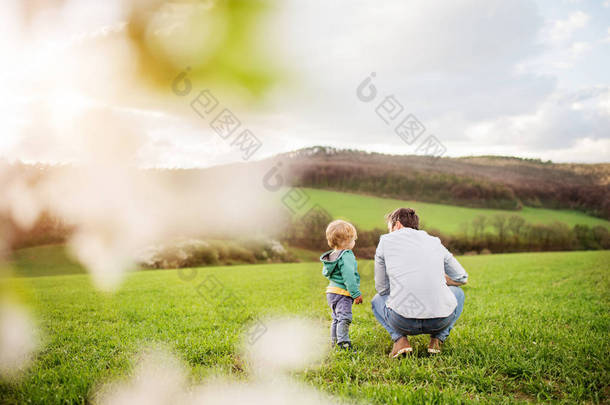 一个父亲与他的蹒跚学步的儿子在春季自然外.