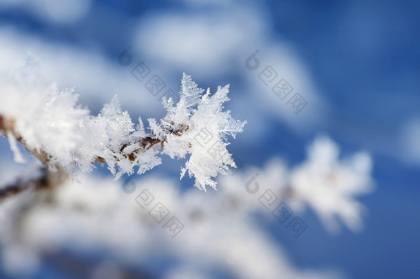 带有雪花分支提示