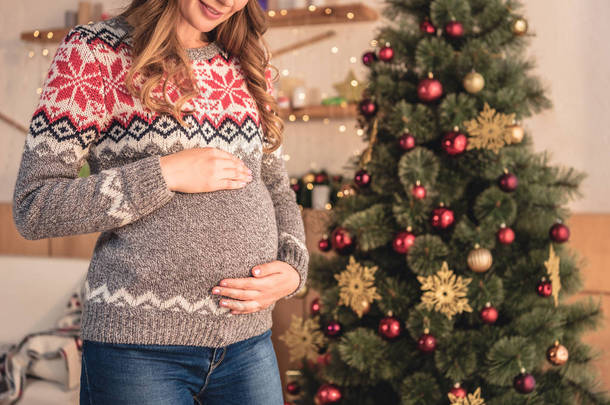 怀孕的妇女在圣诞老人帽子接触腹部的裁剪图像在家里