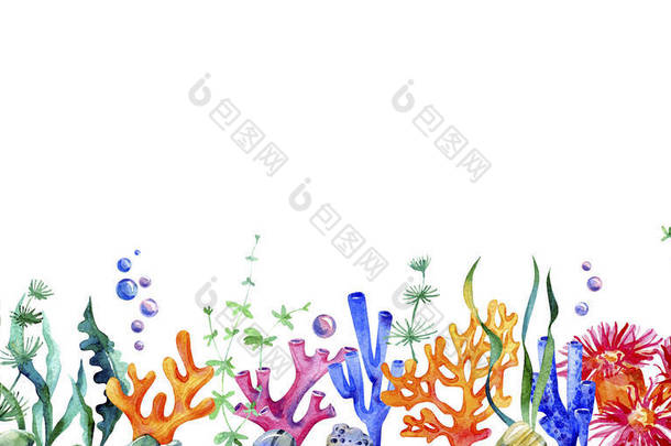 <strong>海洋水</strong>色框架与<strong>海洋</strong>植物、海藻、珊瑚礁、树叶、石头和气泡接壤。<strong>水</strong>下生物。完美的邀请函，派对装饰，印刷品.