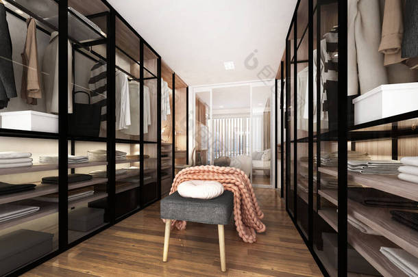 衣柜、衣橱、陈列柜内行走的现代豪华室内设计 