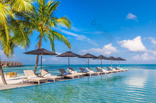 美丽的池边和蓝天。奢华的热带海滩景观、甲板椅和躺椅，以及棕榈树和雨伞下的倒<strong>水</strong>。无边游泳池与海景。热带海滩景观
