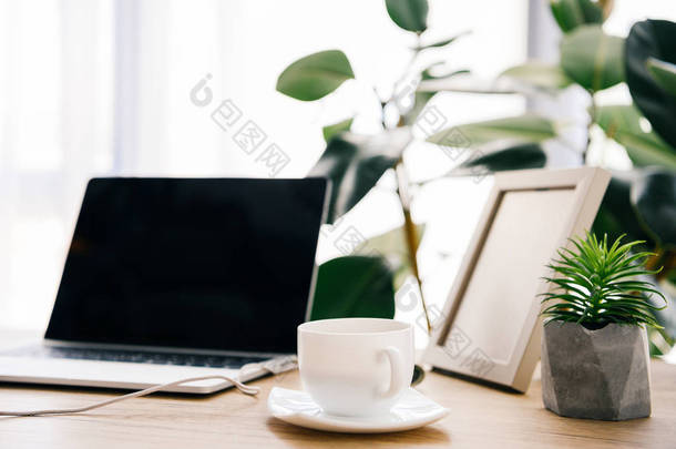 咖啡杯, <strong>笔记本电脑</strong>, 盆栽植物和相框在桌子上的特写视图 