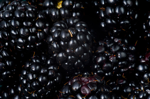 许多<strong>黑莓</strong>