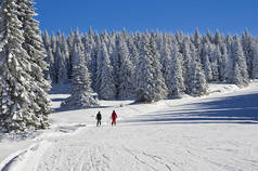 阳光灿烂的日子、 山滑雪胜地科帕奥尼克、 塞尔维亚、 冬山景观山滑雪坡