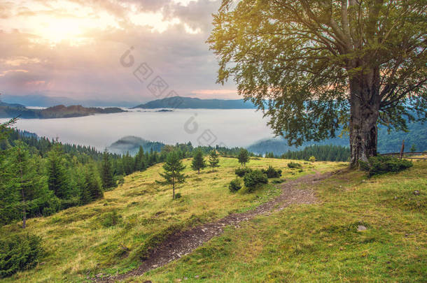 美丽的夏天在山的景观。日出