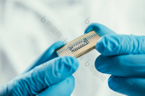 橡胶手套中的工程师手持计算机微晶片的剪影