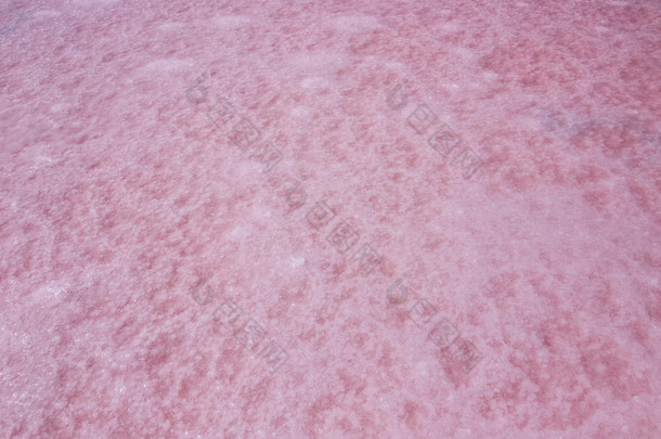 湿的咸水湖，出现粉红色由于海藻称为杜氏在 Coorong 国家公园