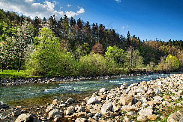 河流与森林的景观