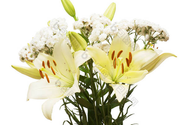 美丽的百合花和蓍的花朵在白色背景上分离。婚礼, 植物, 生活。雄蕊和芽。新娘