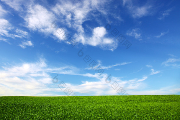 蓝天背景上的田野