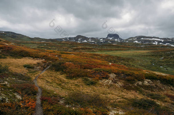 视野与橙色和绿色植物和岩石山在背景, 挪威, 哈国家公园