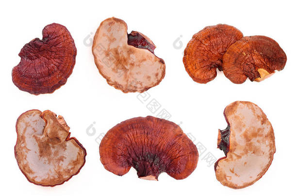 一套在白色背景上查出的干<strong>灵芝</strong>蘑菇