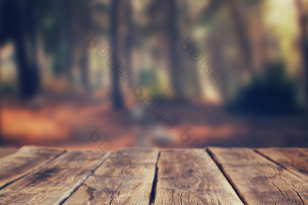 前台仿古<strong>实</strong>木板和在森林里的树木的背景图像。图像是复古色调