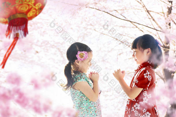 两个女孩站在樱花园对面, 在模糊的背景, 中国的<strong>新</strong>年季</strong>节