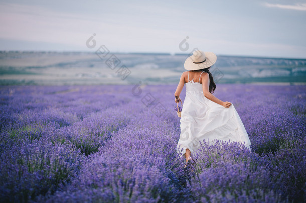 美丽的年轻女子在薰衣草田地中运行