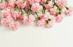 框架从粉红色康乃馨花在白色背景。复制空间