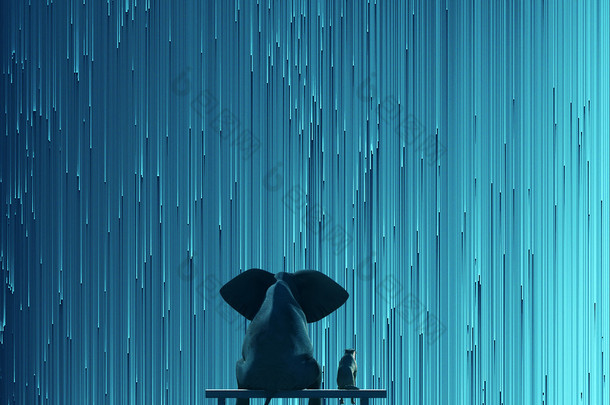 大象和狗在看明星雨