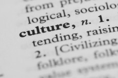 词典系列-文化