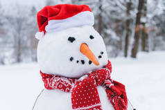 冬季公园围巾和圣诞老人帽的滑稽雪人特写