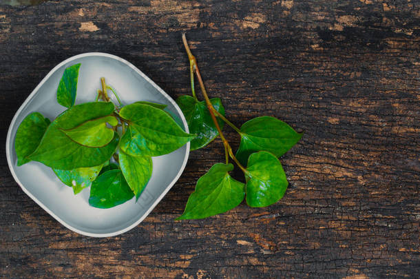 鱼腥草鱼腥草鱼植物或 Plu Kaow <strong>蔬菜</strong>与鱼味草药亚洲健康食物